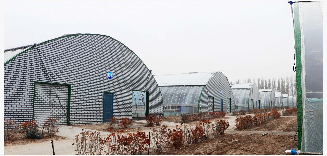 準(zhǔn)格爾旗現(xiàn)代智慧設(shè)施農(nóng)業(yè)產(chǎn)業(yè)園_16.jpg 呼和浩特內(nèi)保溫日光溫室_16.jpg