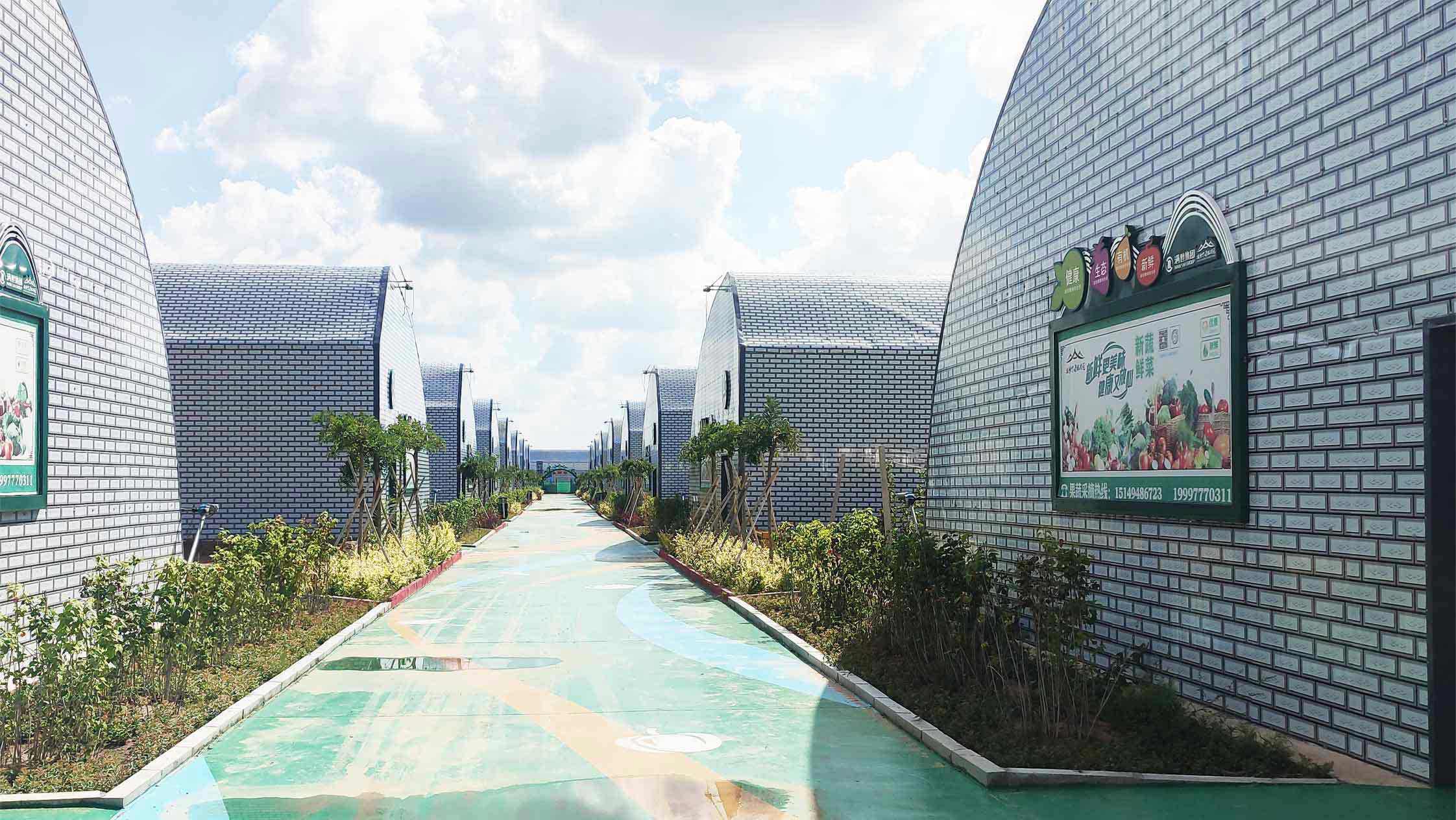 2、直墻溫室網頁_12_01切.jpg 2、直墻溫室網頁_12_01切.jpg