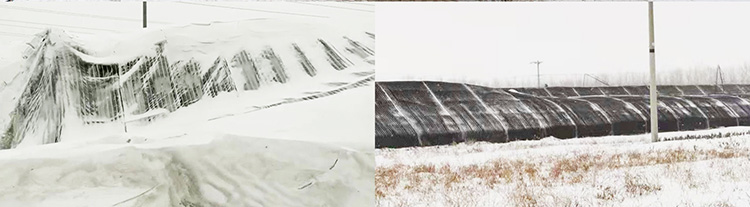 “水蓄熱內外雙保溫裝配式日光溫室” “水蓄熱內外雙保溫裝配式日光溫室”